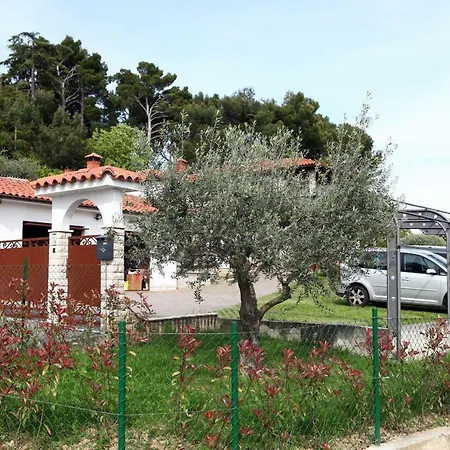 Apartmaji S Pogledom Na Morje Zm -sea View Zm Апартаменты