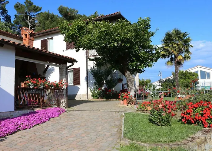 Apartmaji S Pogledom Na Morje Zm -sea View Zm *